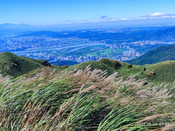 七星山二進2894962