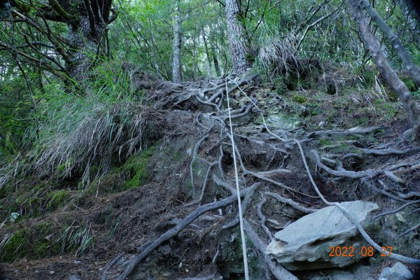 花蓮 秀林 畢祿山 (高遶-進；崩塌-出)1823037