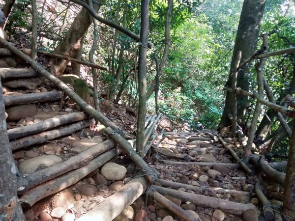 火炎山一日遊798026