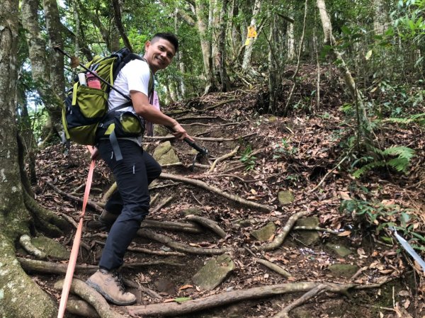 泰安溫泉.鳥嘴山【強筋健骨 養顏美容的套1198641