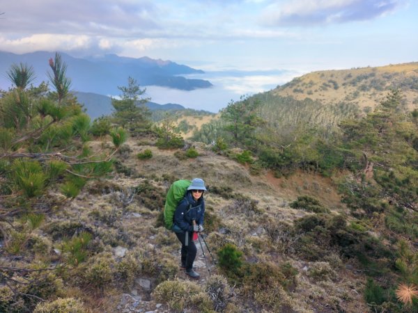 20240320 馬博8天縱走~第五天，馬里亞文路山，馬利加南山2471243