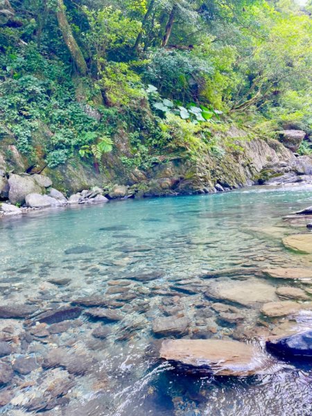 烏來西坑林道/探勘派出護管所彈藥庫遺址至獅坑橋2576290