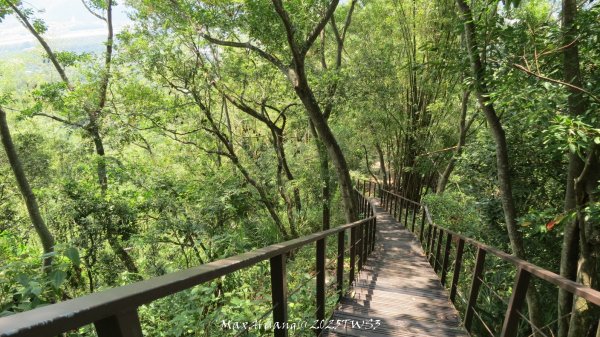《南投》峰峰相連｜草屯九九峰森林步道O型202509062879282