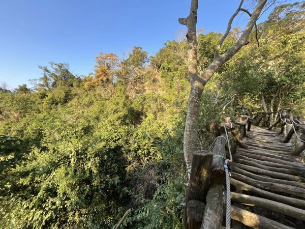 大坑二號步道2711575