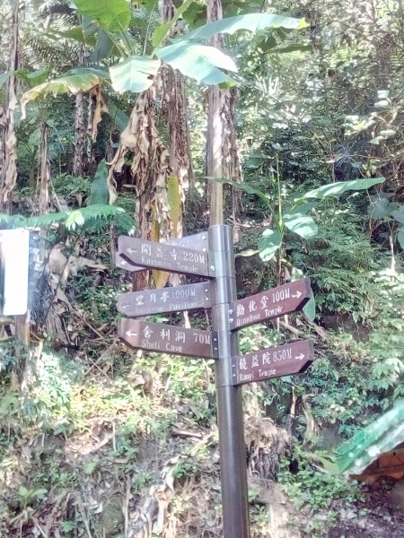 獅山步道&六寮步道262550