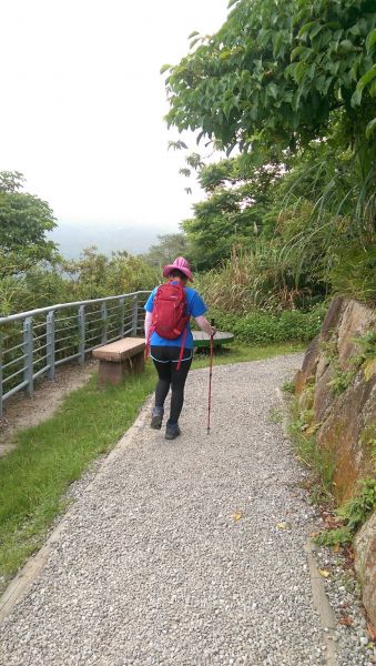 107.05.19 內湖大崙頭山+大崙頭尾山335045