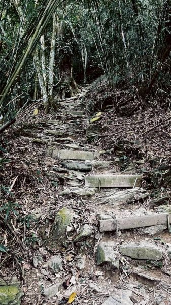 🌈12/14(日)南部最佳百岳練習場~小百岳-尾寮山✨FB：熊熊趴爬走🌈2961691