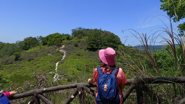 (姨婆趴趴走)第四十三集:攀登連走奇岩山、軍艦岩、丹鳳山2499518