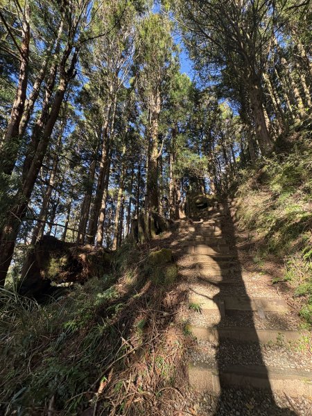 20251225塔山步道(大塔山)2970333