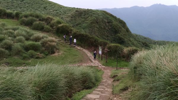 頂山,石梯嶺,竹篙山連走!165169