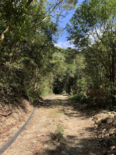 20250228屏東達洼蘭山-下達洼蘭山2732895