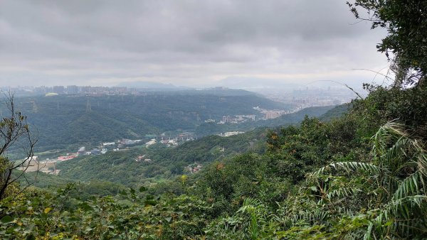 龜山五連星+大棟山O型2785158