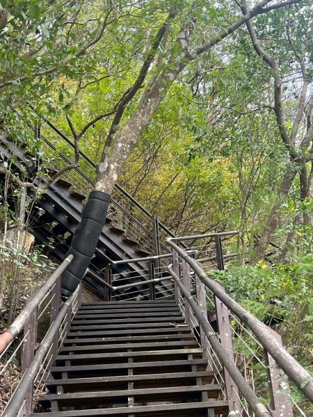 桃園 復興 巴陵古道3011849