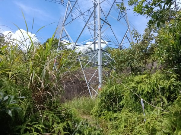 汐止區夢湖保線路+單車夢湖路O型2894091