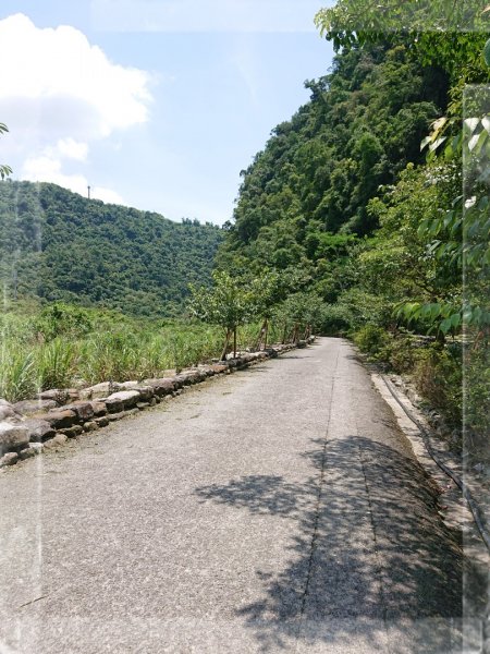 步道巡訪員 l 九寮溪自然步道６月巡訪日誌封面
