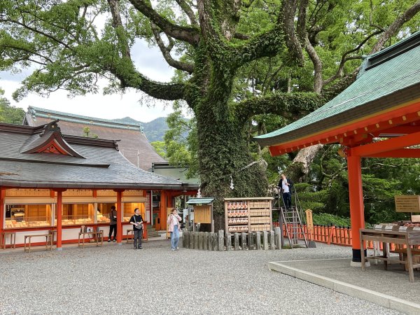 熊野古道參訪4日2805097