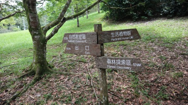 福山植物園登山健行趣(步道)2269402