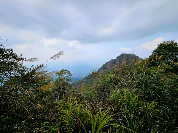 小百岳集起來-竹子尖山2184573