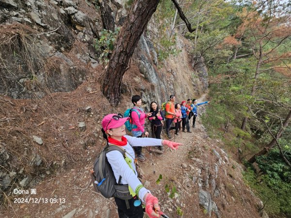 【谷關七雄】東卯山(H1690.5m)慢慢走2671025