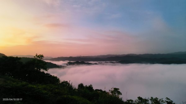 #鱷魚島雲海 #日出雲海 #火燒雲  #月光雲海 4/152761614