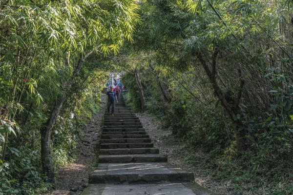 觀音山(北橫古道)1542392