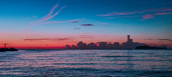 天龍國阿伯的日常-雲山水花鳥蝶  #龜島曉日  #牡丹蓮 #香水蓮  #手機拍攝 賞蝶趣 7/2&32826046