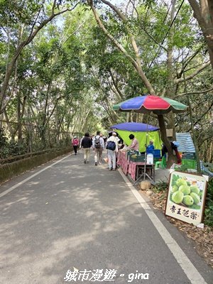 【彰化】員林藤山步道x田尾公路花園3016562