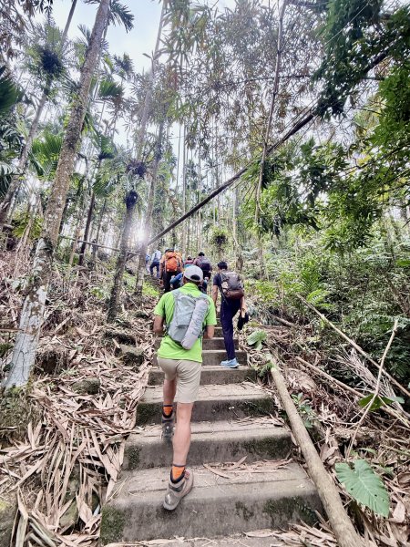 二尖.大尖山悠遊--好友再聚的茶園餘韻   2026.01.182985460