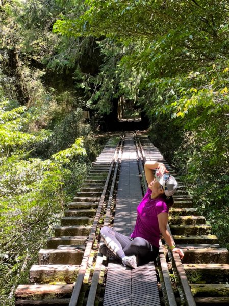 阿里山祝山日出，塔山步道，眠月線1776742