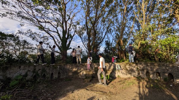 114.12.20劉銘傳隧道-獅球嶺北峰-獅球嶺東砲台山-獅球嶺池-獅球嶺砲台山之旅2966768