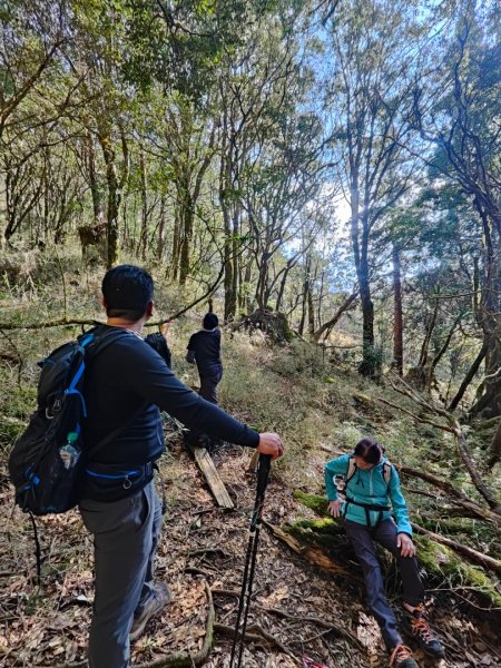 特富野古道>東水西峰>東水山>玉兒山>特富野古道（逆O)2743786
