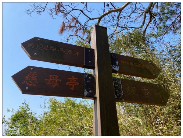 老崎古道、老崎坪頂山 (頭份)2737125