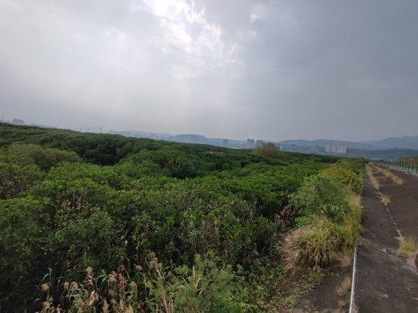 2024年臺北大縱走第八段：捷運動物園站至捷運關渡站2471094