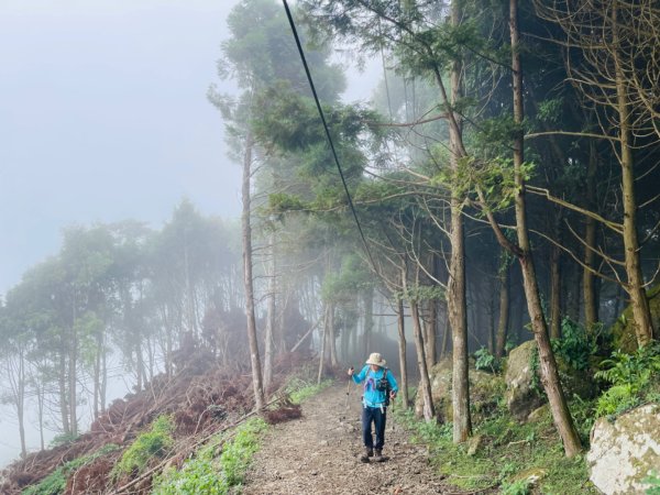 1130928五指山｜拇指峰-食指峰-中指峰2612411