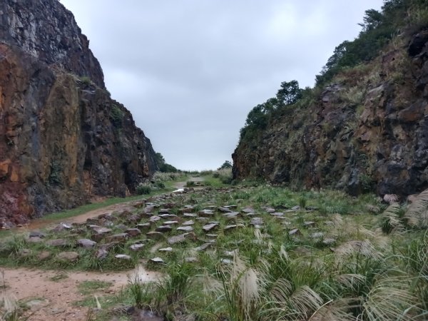 瑞芳區本山地質公園步道+草山公路+百二崁古道+樹梅坪古道O型2945496