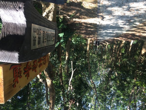 關廟森林公園、天空步道2423625