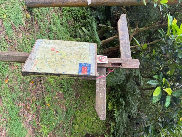 20250518 玉桂嶺山 》司公髻尾山 》九芎坑山》 豬厝步道口  （ 大坪產道）2791938