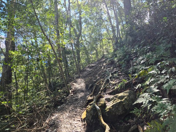 八仙山森林遊樂區、佳保台山2712665