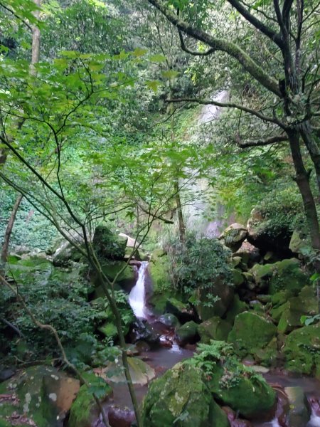 冷水坑＞雞心崙＞絹絲瀑布（陽明山尋印者）