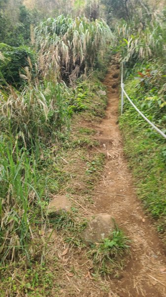 2026-0116 大屯三山_貴子坑_北投2984737