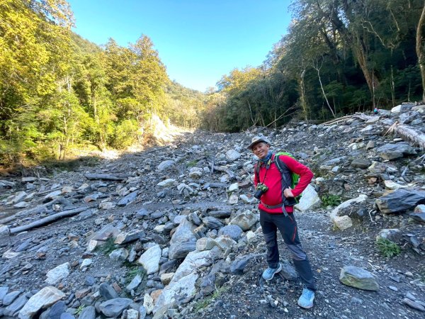 20260104司馬庫斯 &巨木群攀登2978843