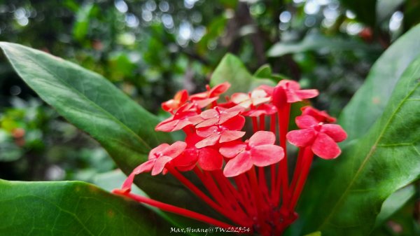 《新竹》城市微旅｜十八尖山+香山濕地賞蟹步道202511012928397