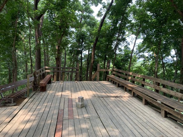 20250906台南糞箕湖山2881427