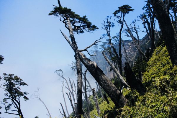 作伙來去北大武304399