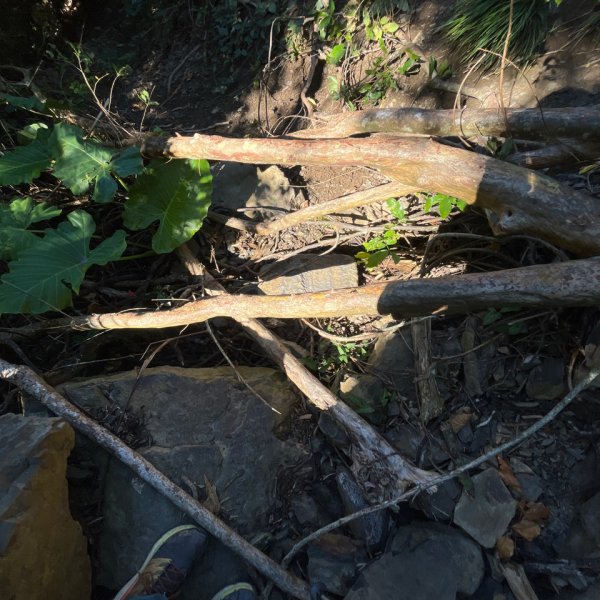 20251214_女仍山（屏東小百岳）2968704