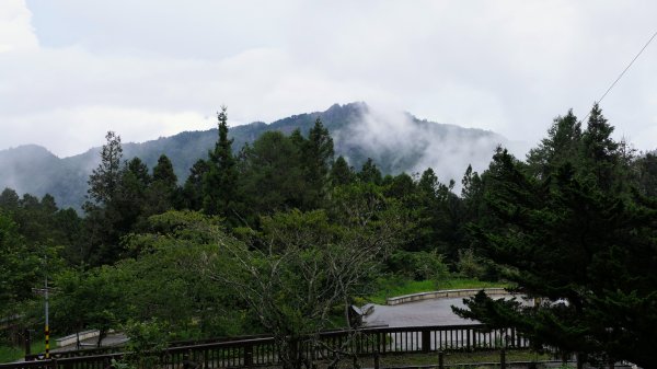 阿里山森遊區-祝山,對高岳步道2537074