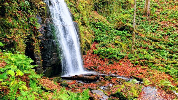 青森縣奧入瀨溪2929974