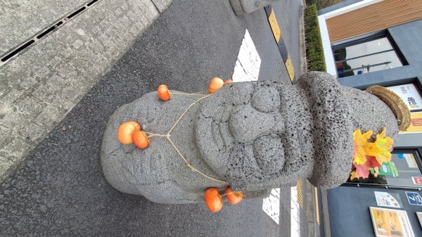 偶來小路走走2942594