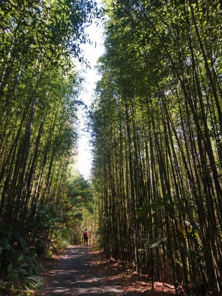 李崠山、泰平山、馬望僧侶山O走1211335