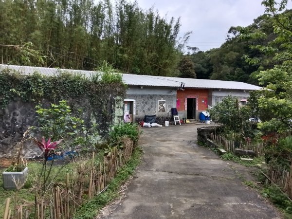 雙溪區三叉港+遠景古道+楊廷理古道+雞母嶺街O型2758679